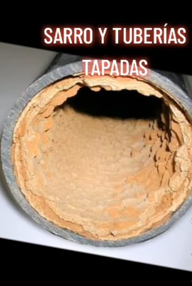 Tinaco Sucio vs Limpio